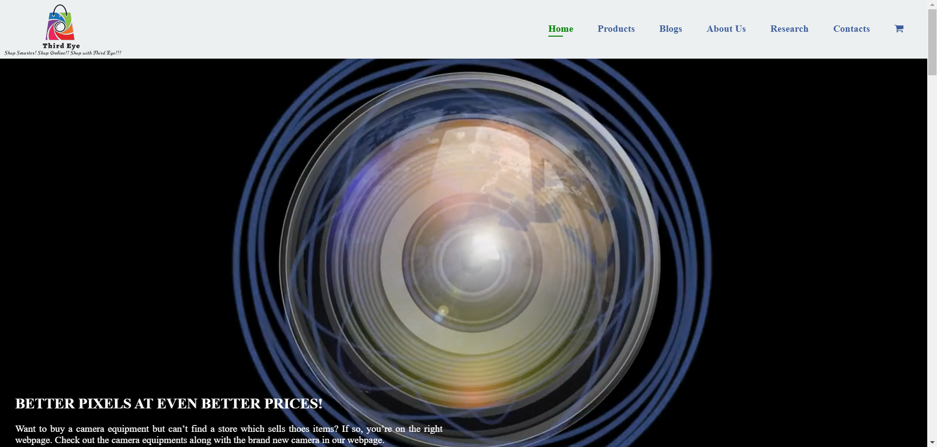 Ecommerce Website